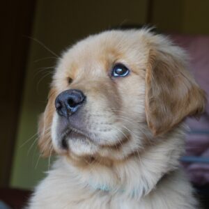 597901025_17846664057619153_6229450891260767093_n