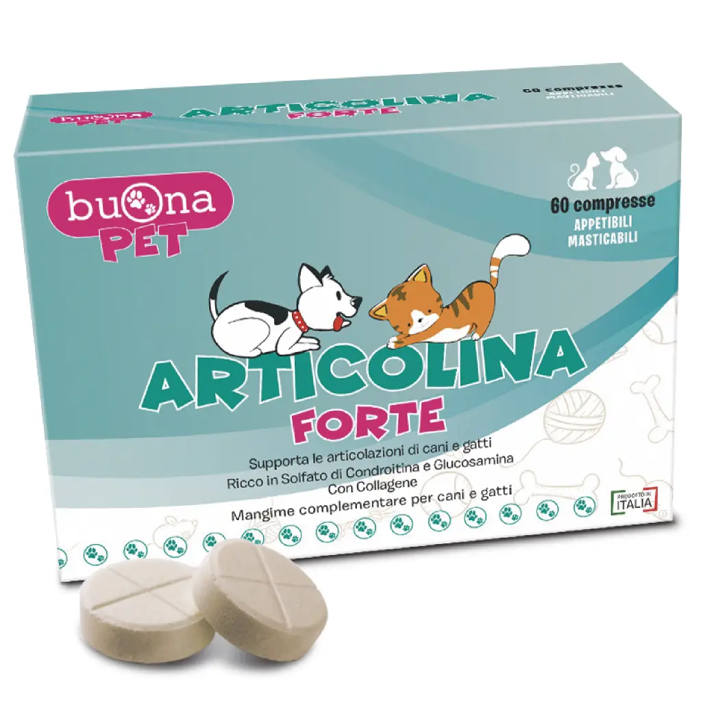 articolina-forte_60_B09ZDZNGV4_page-0001