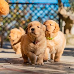 WhatsApp Image 2025-12-17 at 14.31.53