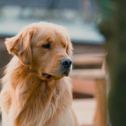 WhatsApp Image 2025-12-17 at 14.41.08