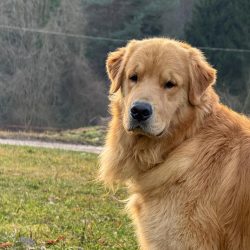 WhatsApp Image 2025-12-17 at 14.41.09 (3)