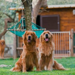 WhatsApp Image 2025-12-17 at 14.41.09