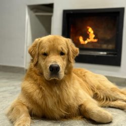 WhatsApp Image 2025-12-17 at 14.42.13